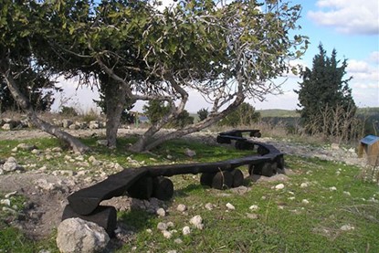 יער צרעה ודרך הפסלים